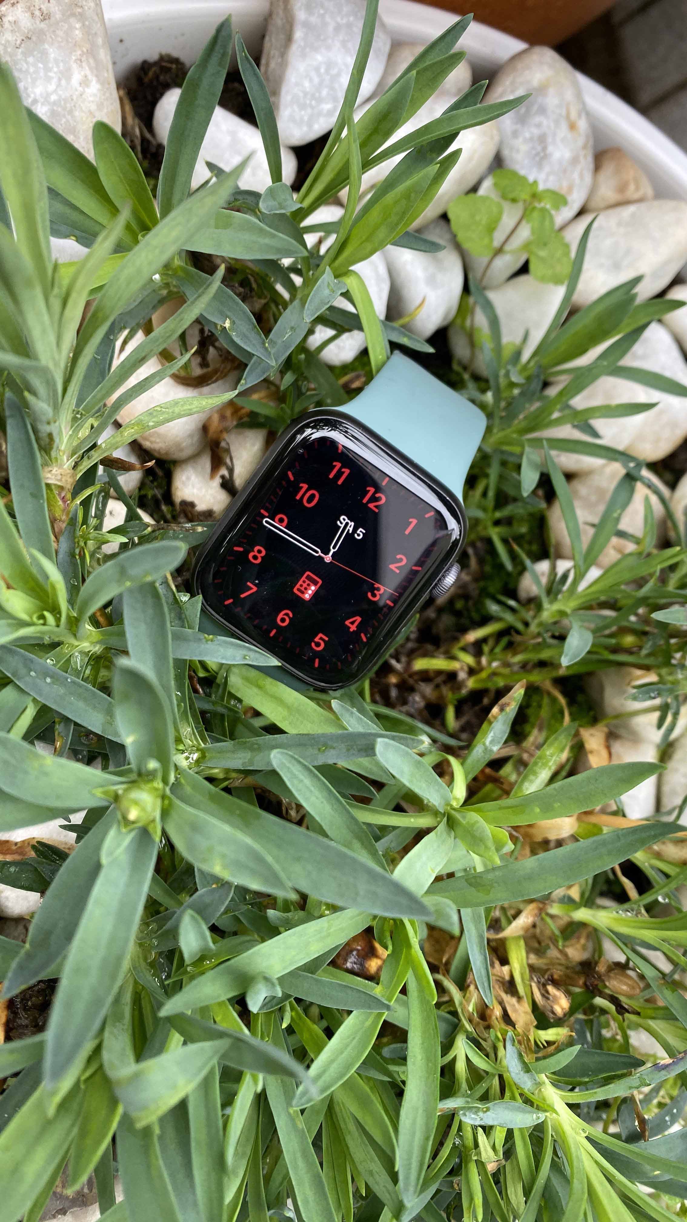 Apple Watch Series 5 Test