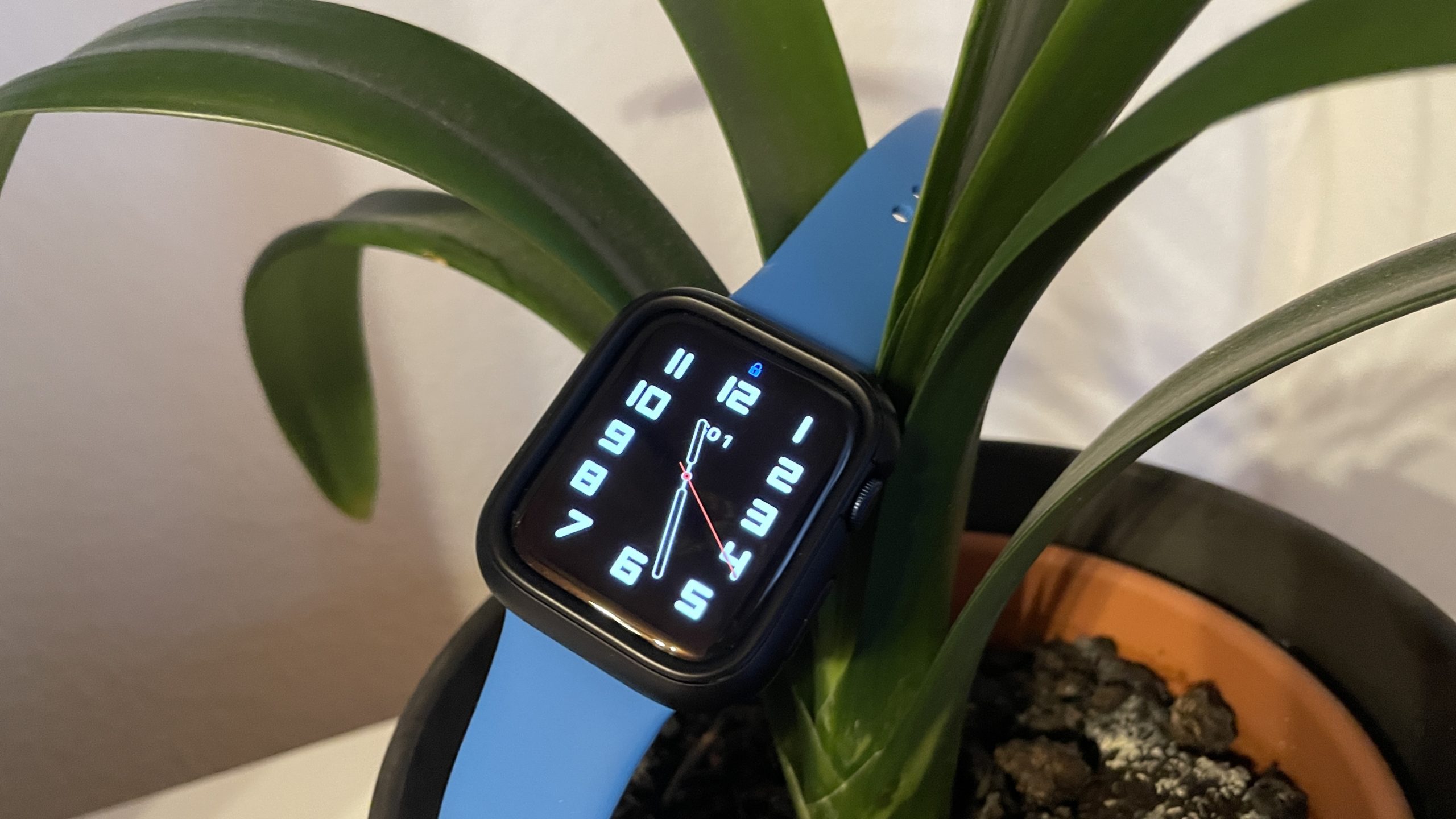 Apple Watch Series 6 Titelbild