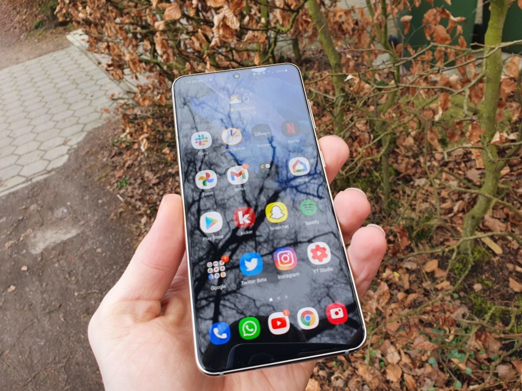 Samsung Galaxy S21 Display