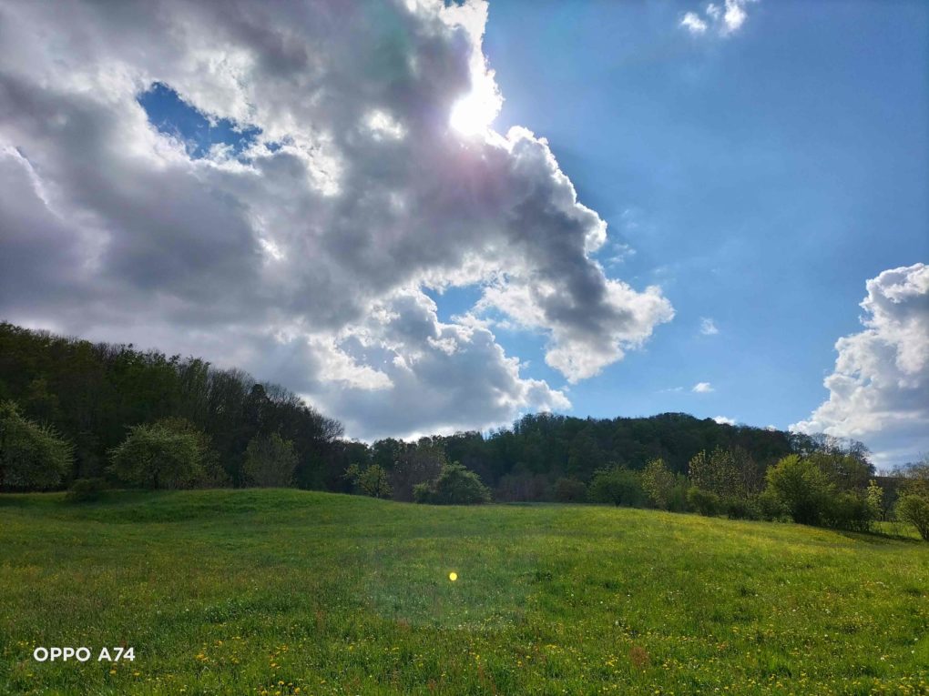 OPPO A74 Testfoto