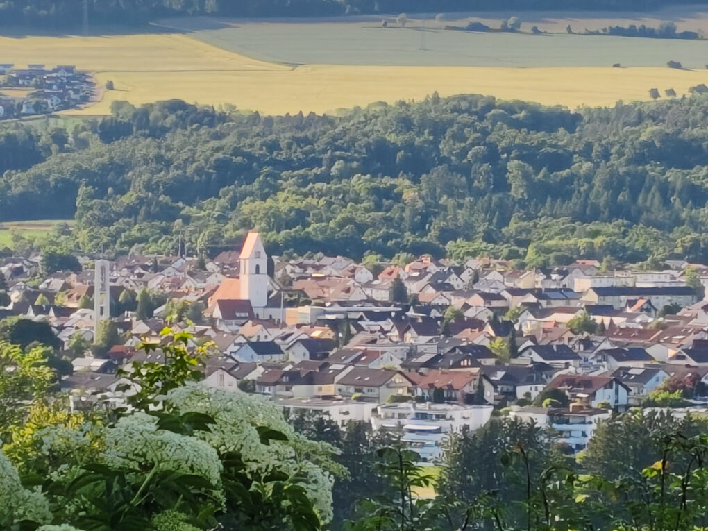Vivo V50 Testfoto 3